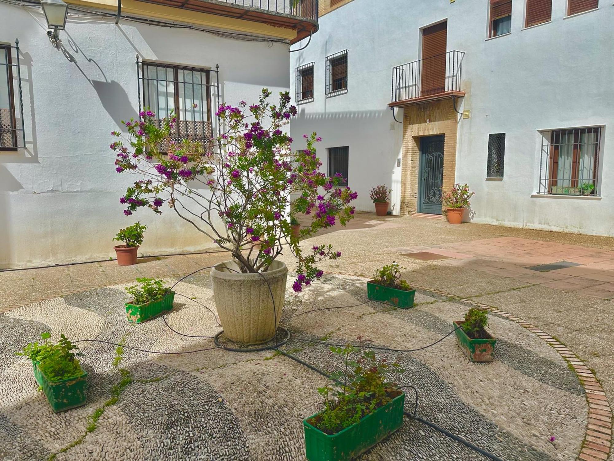 Orive House Apartamento Córdova Exterior foto